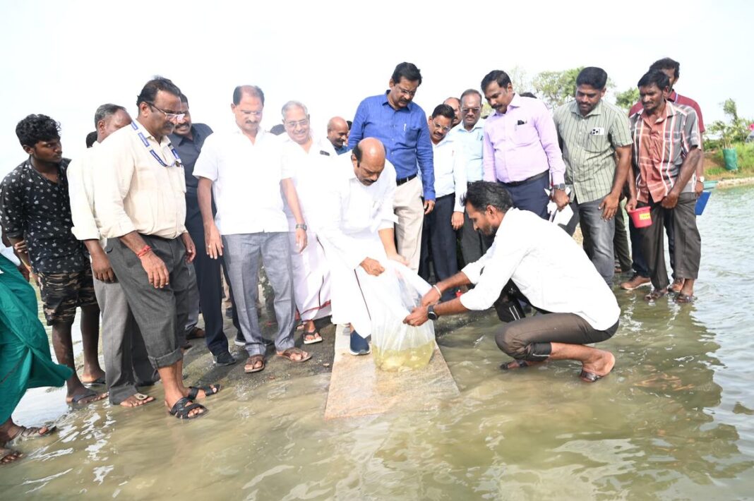 Tiruvannamalai Sees Seasonal Revival of Fish Farming in Local Irrigation Tank