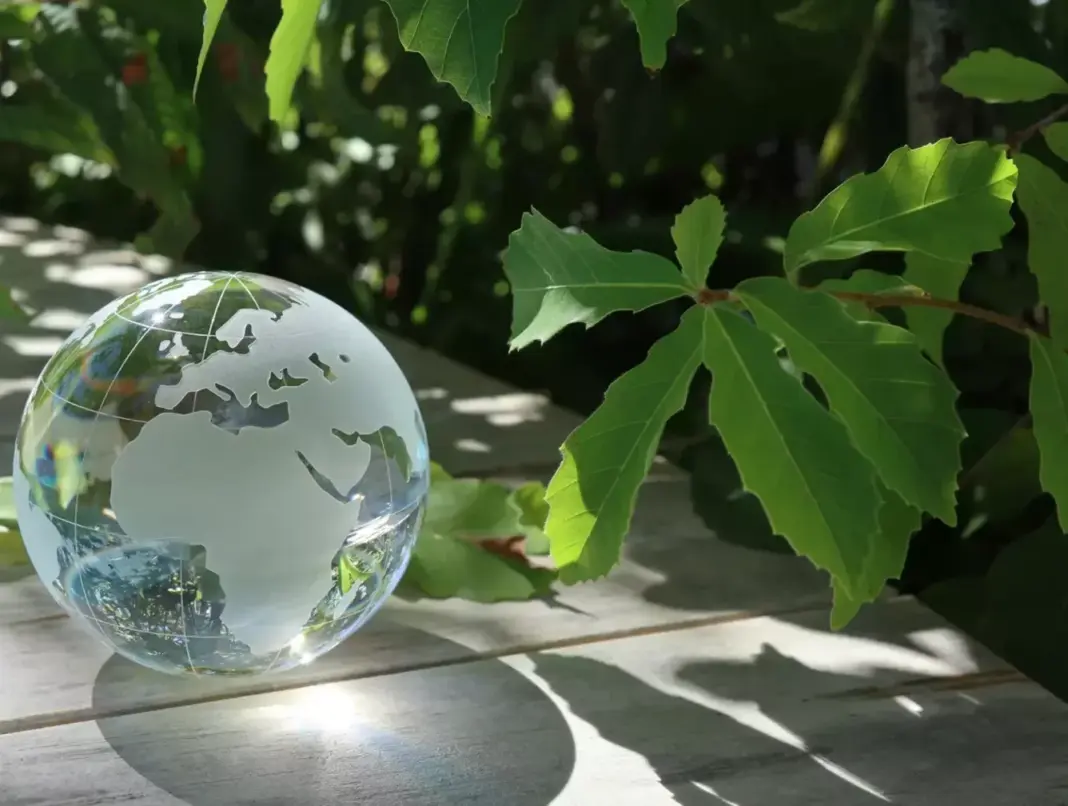 Lonavla Residents Win As High Court Orders Urgent Sustainable Development Reforms