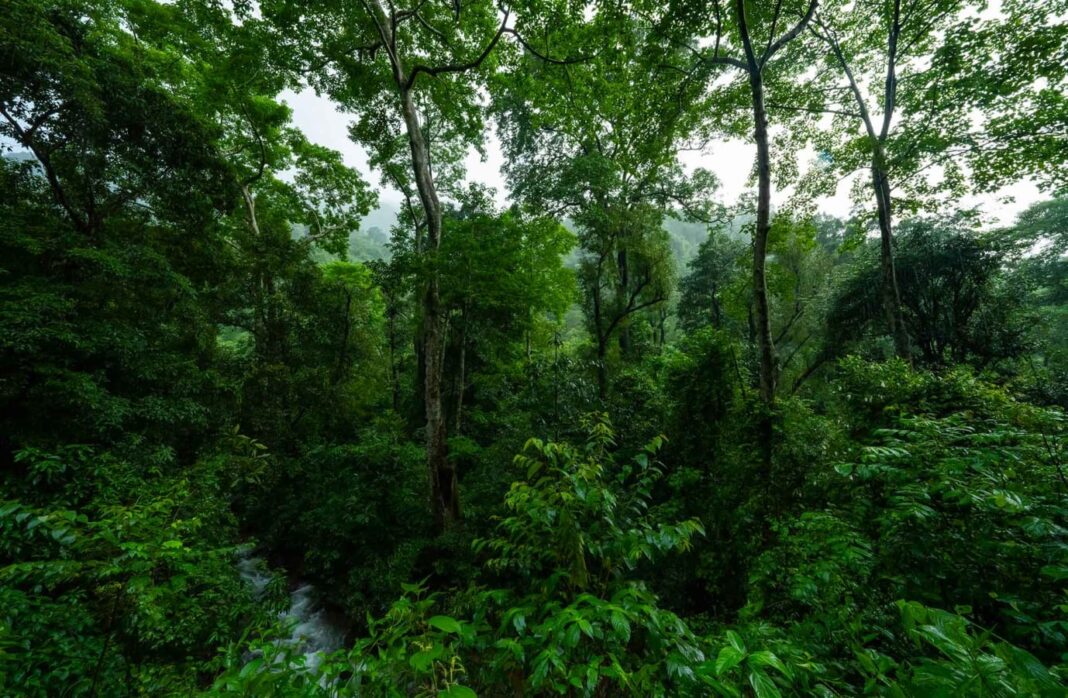 Goa Faces Ecological Decline, Green Spaces Threatened by Rapid Urban Expansion