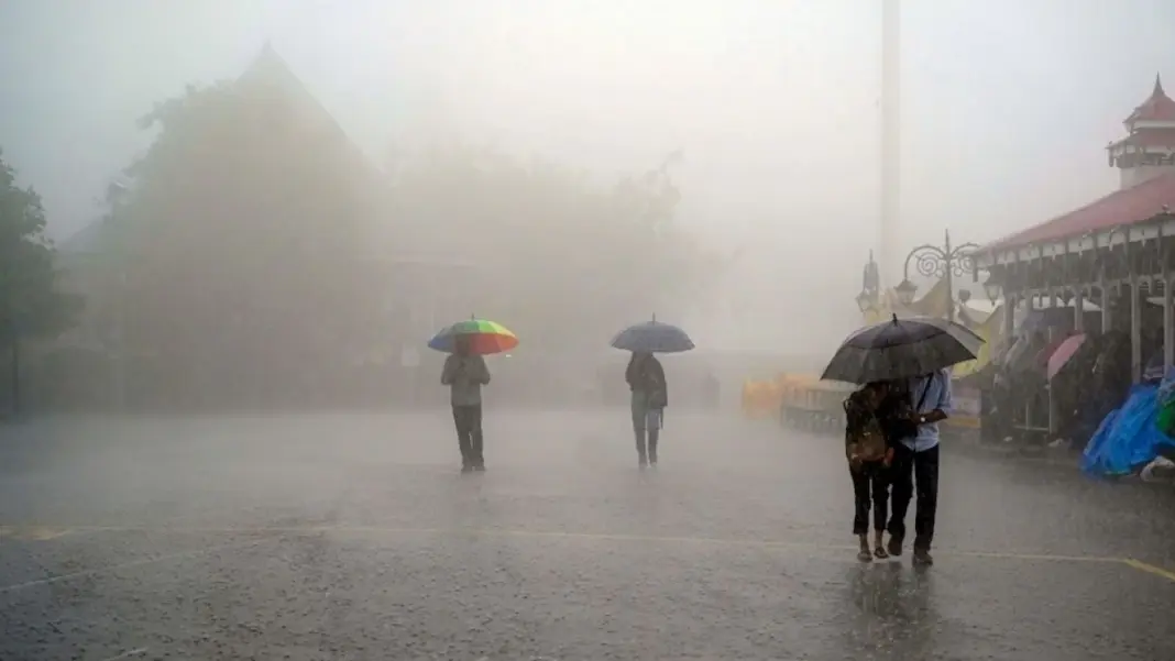 Kochi Under Yellow Alert As IMD Predicts Rain And Winds Till July 8