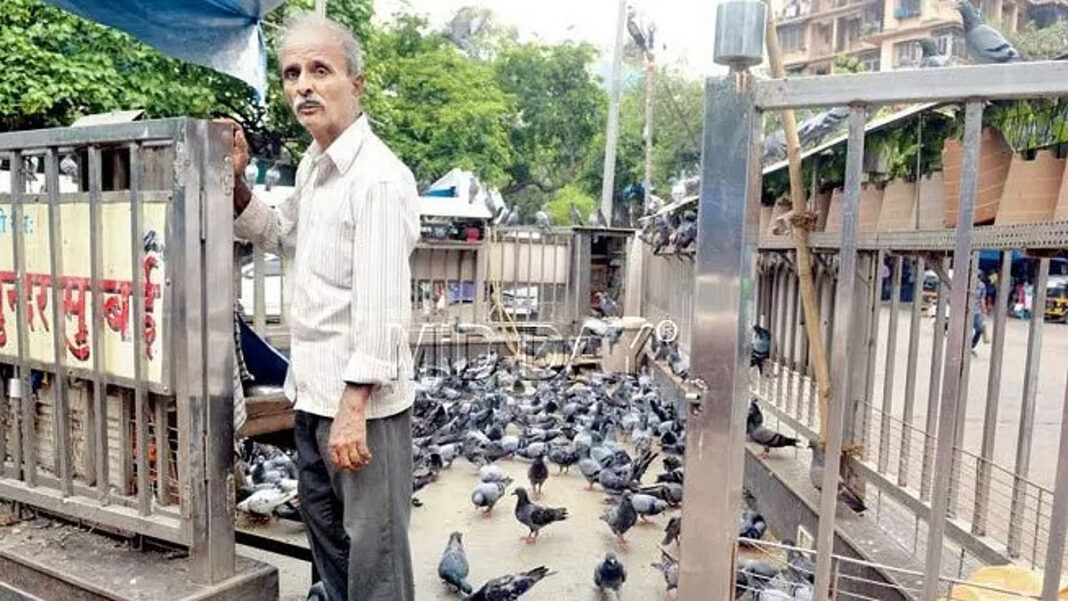 Mumbai Government Orders Immediate Closure of Kabootar Khanas Over Respiratory Risks