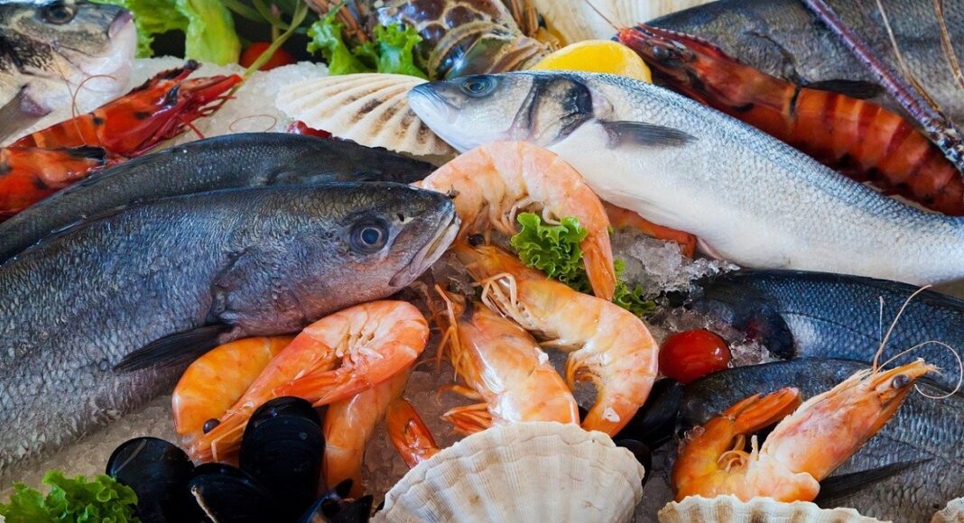 Chennai targets $5 bn seafood exports to boost blue economy