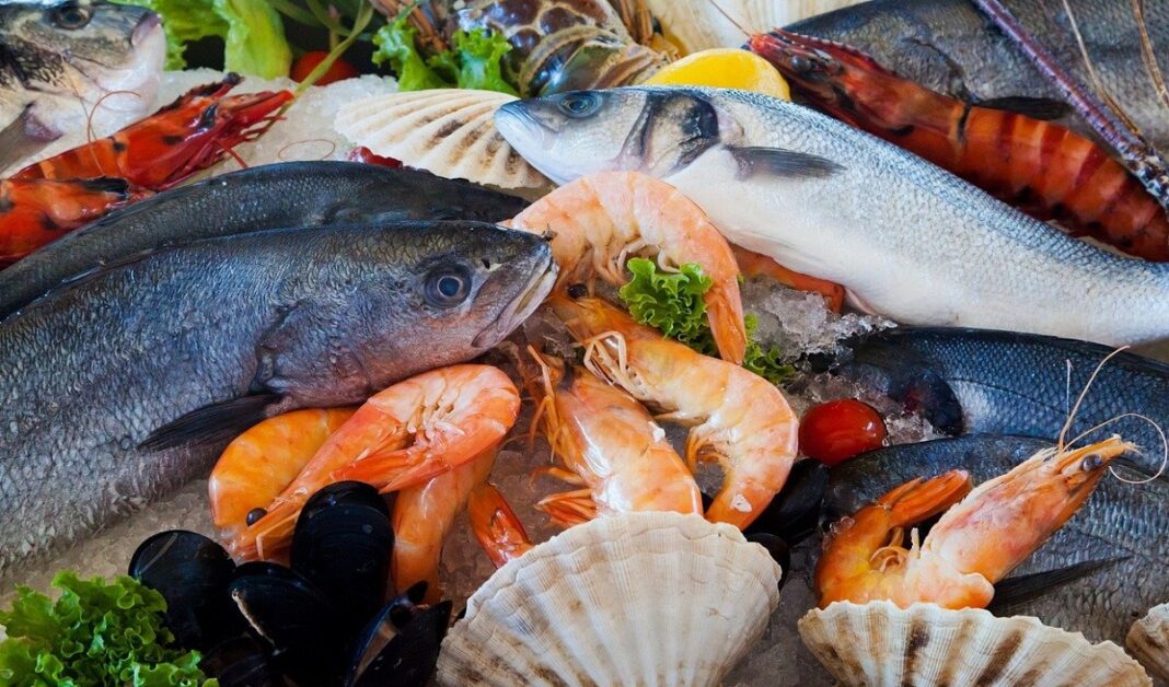 Chennai targets $5 bn seafood exports to boost blue economy