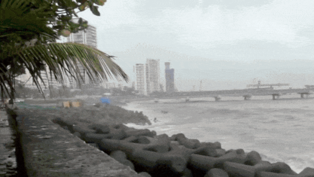 Mumbai, Thane, Palghar, Raigad On Yellow Alert For August 13 Rainfall