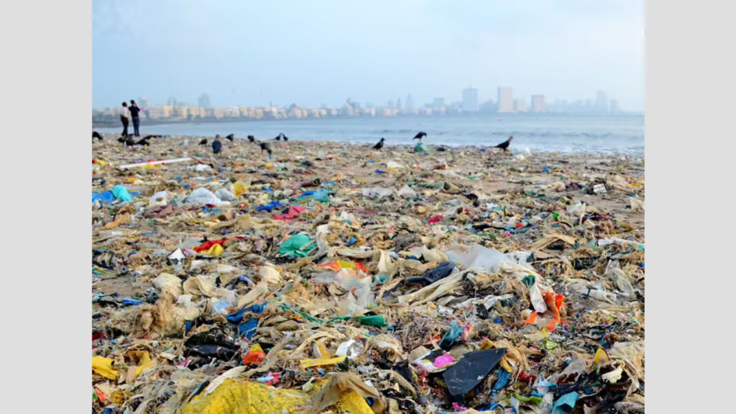 Mumbai Beaches Cleared Of 952 Tons Waste In Just Nine Days Drive