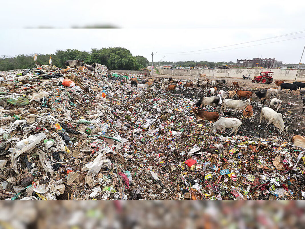 Mumbai Waste Disposal Relies On Kanjurmarg Amid Site Shortage
