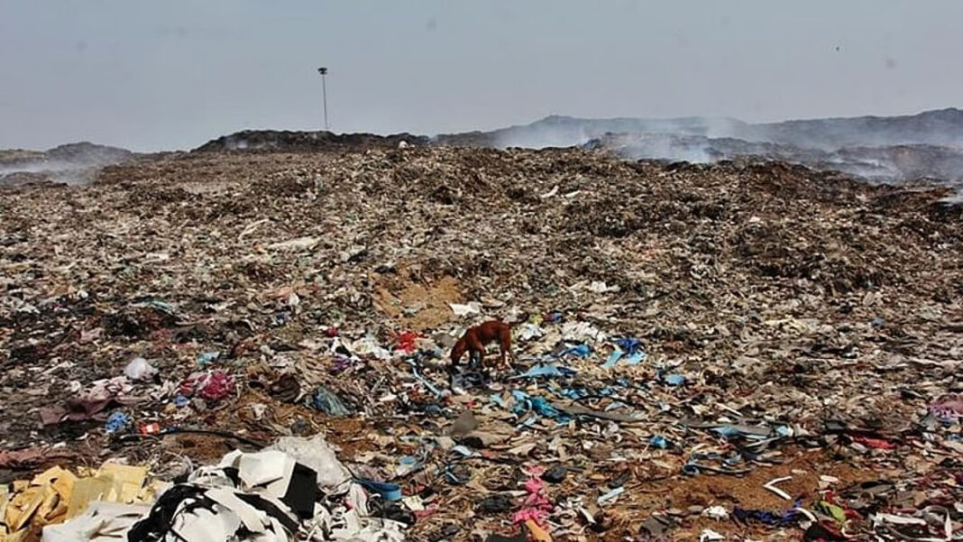 Mumbai Residents Protest Against Garbage Dumping Amid Rising Hygiene And Health Concerns