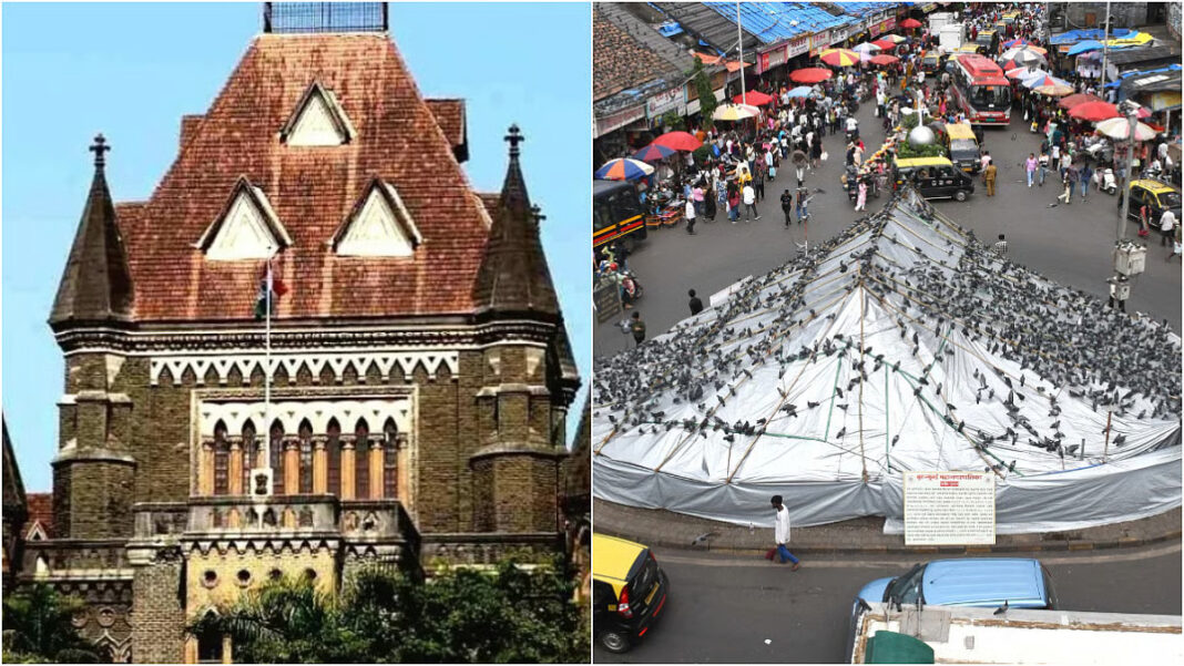 Mumbai Civic Body Receives Three Applications For Controlled Pigeon Feeding Proposal