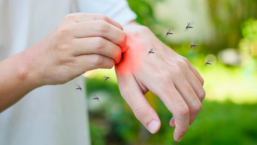 Bengaluru Dengue Cases Drop by 90 Percent in July