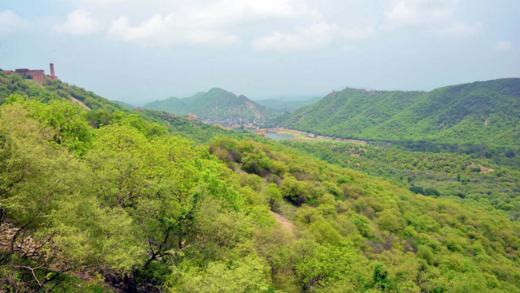 Government launches a large-scale soil development project in Rajasthans Aravalli districts to restore the ecosystem