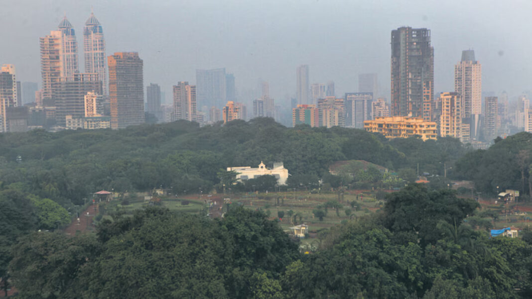 BMC Cuts Tree Felling from 400 to 50 for Malabar Hill Water Tank Project
