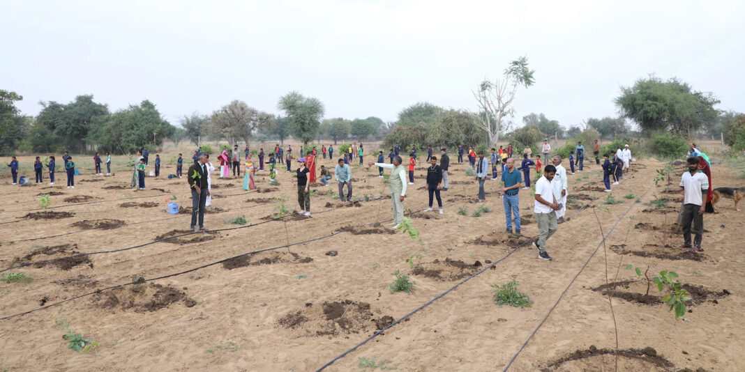 Navi Mumbais Amrut Initiative Plants 25 Indigenous Trees to Boost Biodiversity in Belapur
