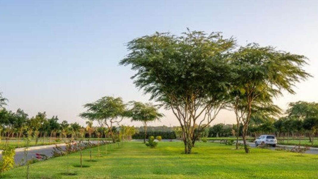 Pune Faces Green Cover Disparity As Unequal Access To Parks Sparks Concern