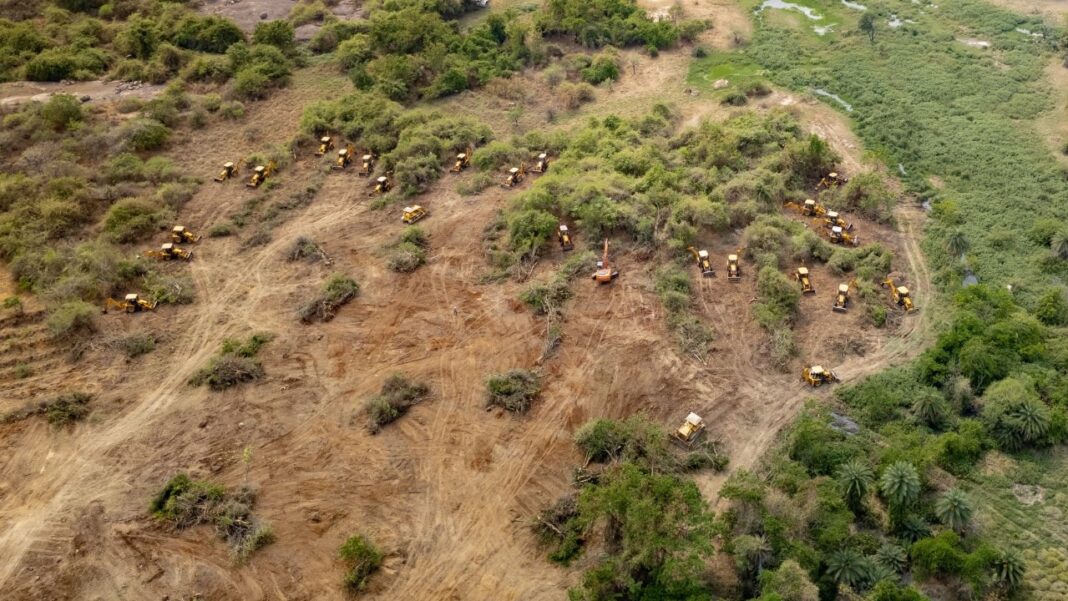 Supreme Court Directs Telangana to Restore 400 Acres of Kancha Gachibowli Forest