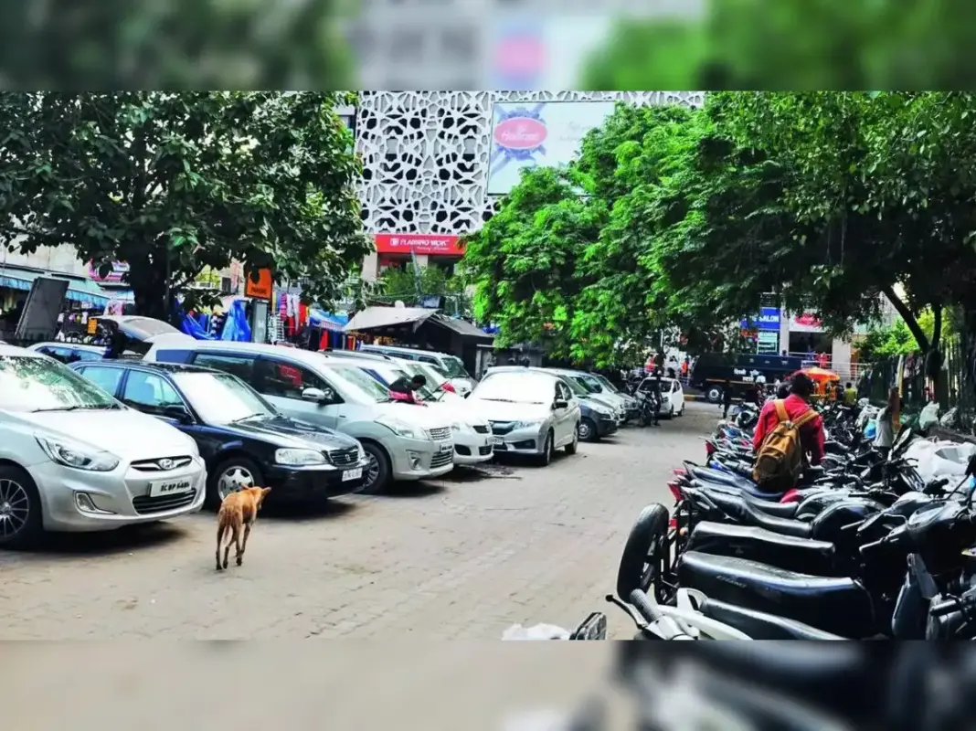 Delhi may phase out 300 surface parking sites for sustainability