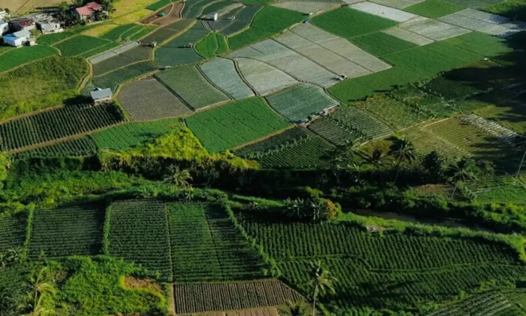 Kottayam NH 183 Project To Get New Consultancy For Faster Delivery