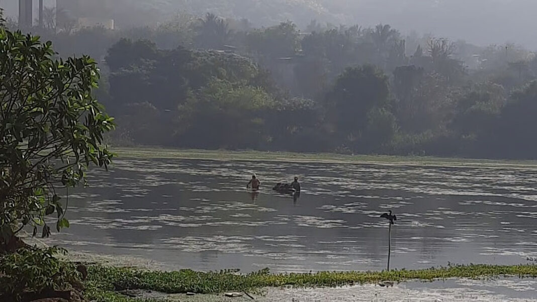 Maharashtra Wetland Authority Recognises Lotus Lake In Nerul Against CIDCO Stand