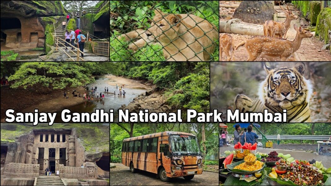NGT Acts On Sanjay Gandhi Park Land Diversion Involving MMRDA