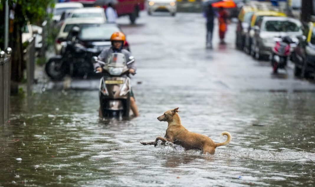 Mumbai Faces Heavy Rain Yellow Alert in Place for Four Days
