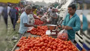 Pune tomato prices touch Rs 100 as rains slash supply and quality