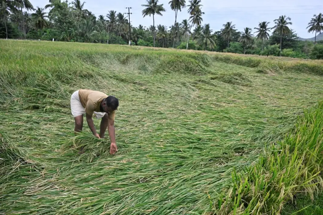 Maharashtra Govt Releases 1339 Crore Assistance For Farmers, Damaged By Heavy Monsoon