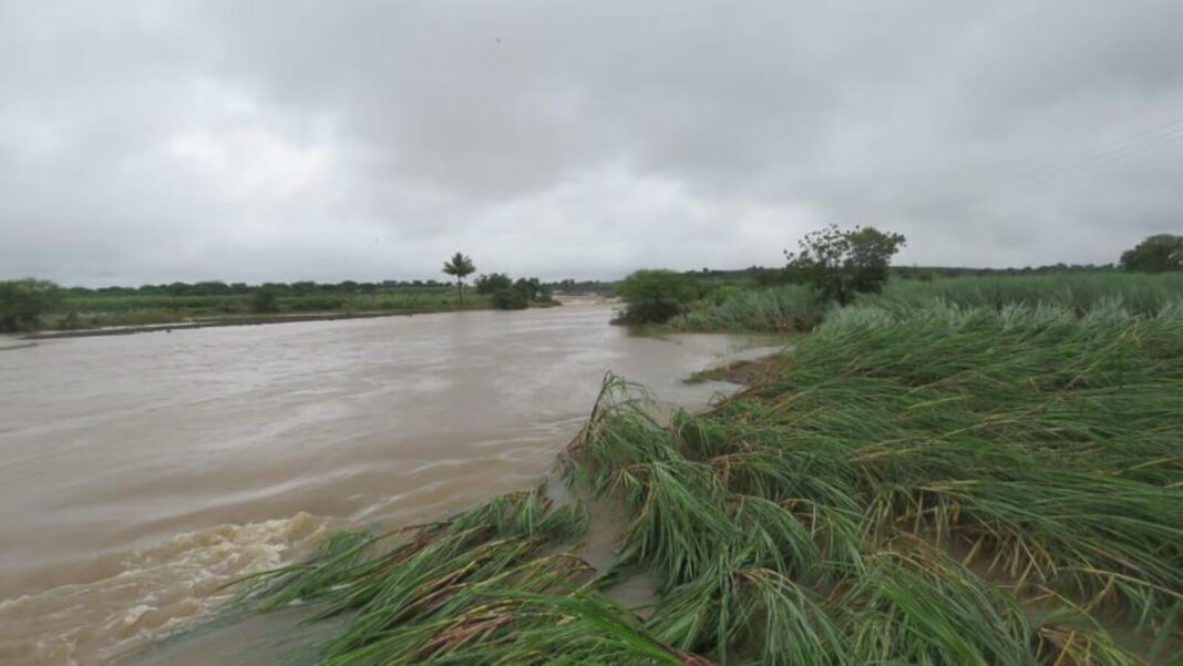 Mumbai Reports 1.4 Million Hectares Crops Damaged In August Heavy Rains