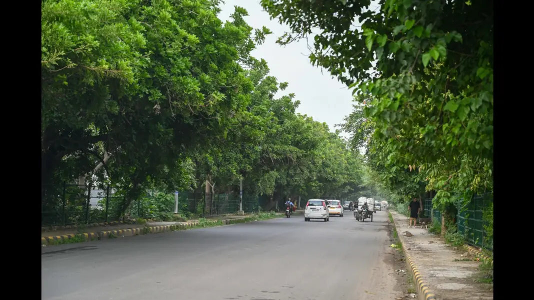 Gurugram Metro Launches 18000 Tree Plantation Drive In Kadarpur