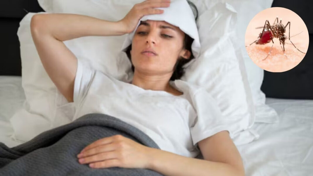 Mumbai Delhi Report Malaria Surge 2025 With Rising Chikungunya Cases