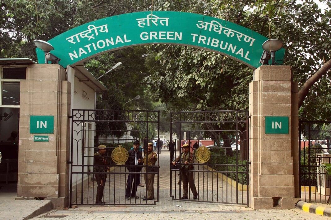 NGT Orders DDA Clarification On Najafgarh Waterbody Encroachment Following Public Concerns