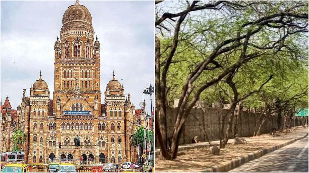 BMC To Conduct Mumbai Tree Census Using Ground Penetrating Radar In 2026