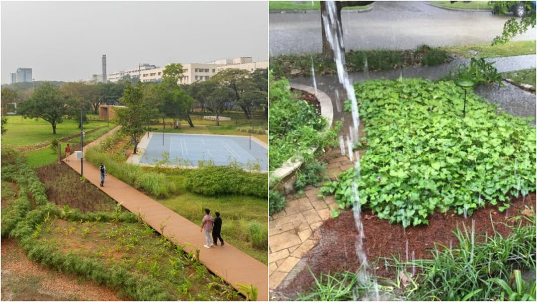 BMC To Develop 164 Sponge Parks Across Mumbai To Prevent Flooding And Recharge Groundwater