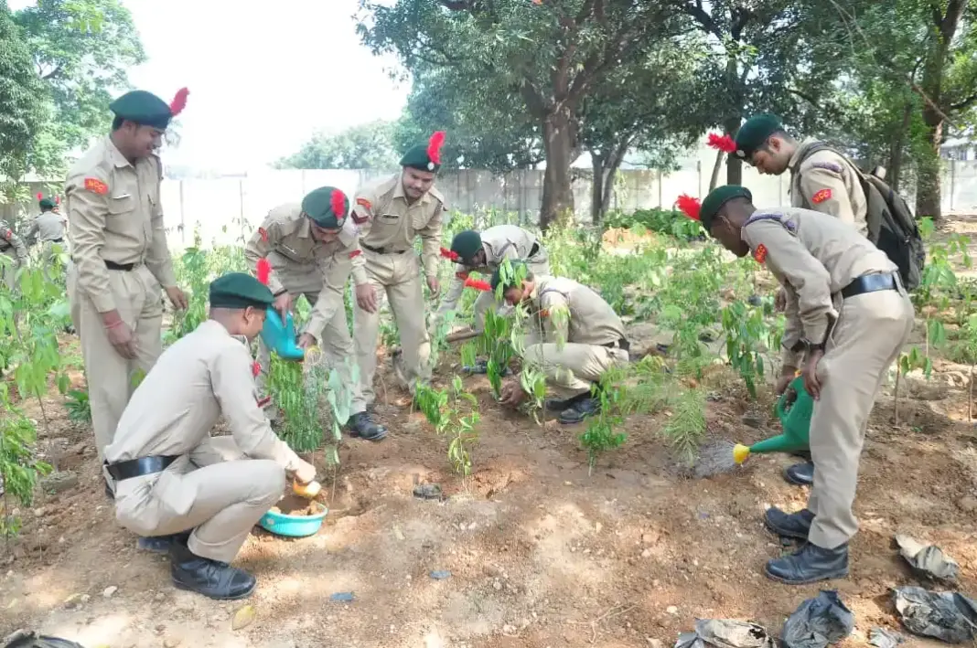 Tata Steel UISL Plants 5000 Saplings To Expand Jamshedpur Green Spaces