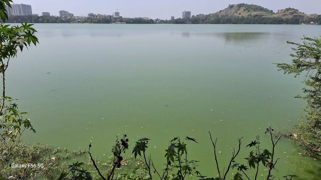 Bhiwandi Youth Launch Weekly Cleanup Drive To Save Severely Polluted Varala Lake