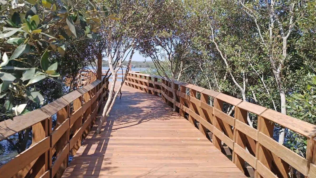 Mumbai To Get Twin Mangrove Parks Worth Rs 110 Crore At Gorai And Dahisar