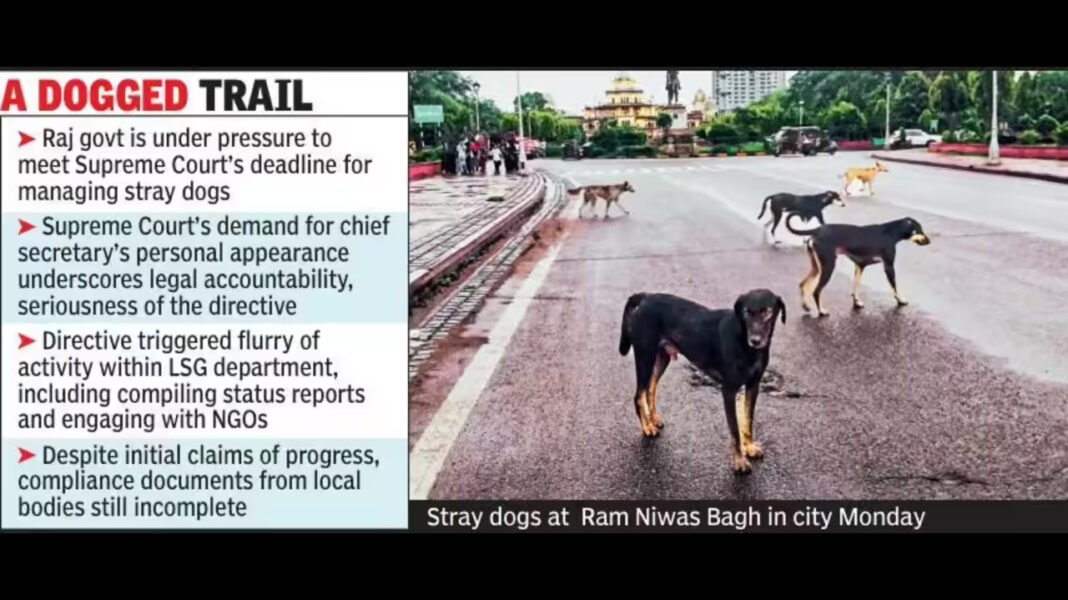 Maharashtra Launches Stray Dog Management Programme Across Public Spaces