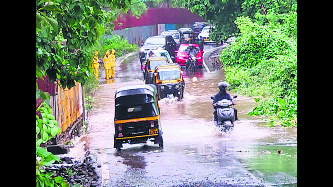 Mumbai Water Blockage Near Aarey Metro Depot Endangers 284 Trees