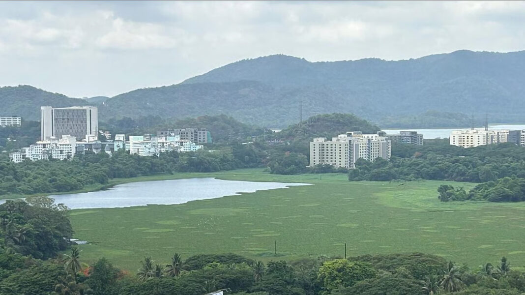 BMC Begins Rs 66-Crore Powai Lake Revival With New STP And Sewage Diversion