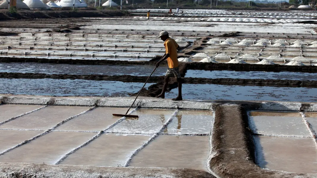 MMRDA Hands Over Wadala Salt Pan Land Following High Court Compliance Order