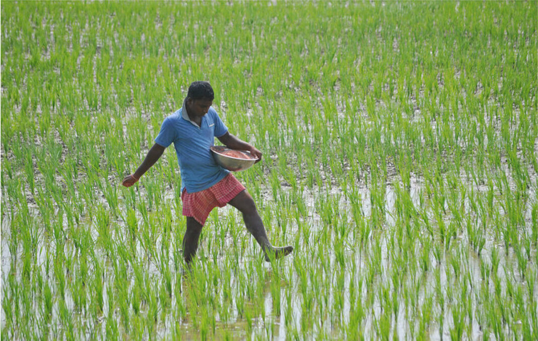Maharashtra Approves Rs 2,540 Crore Relief Package For Rain-Hit Farmers