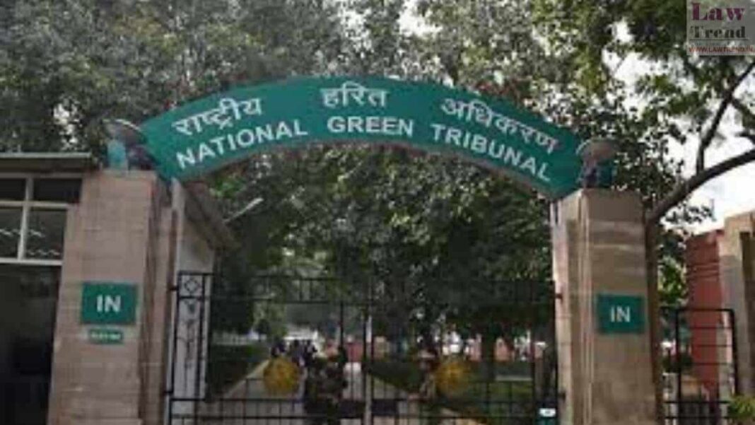 New Delhi Orders Six-Month Asbestos Phase-Out Plan For Schools And Buildings