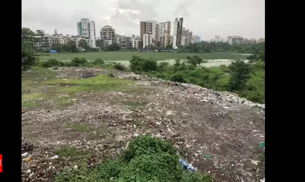 Navi Mumbai Activists Protest Plan To Bury Lotus Lake For Real Estate Development