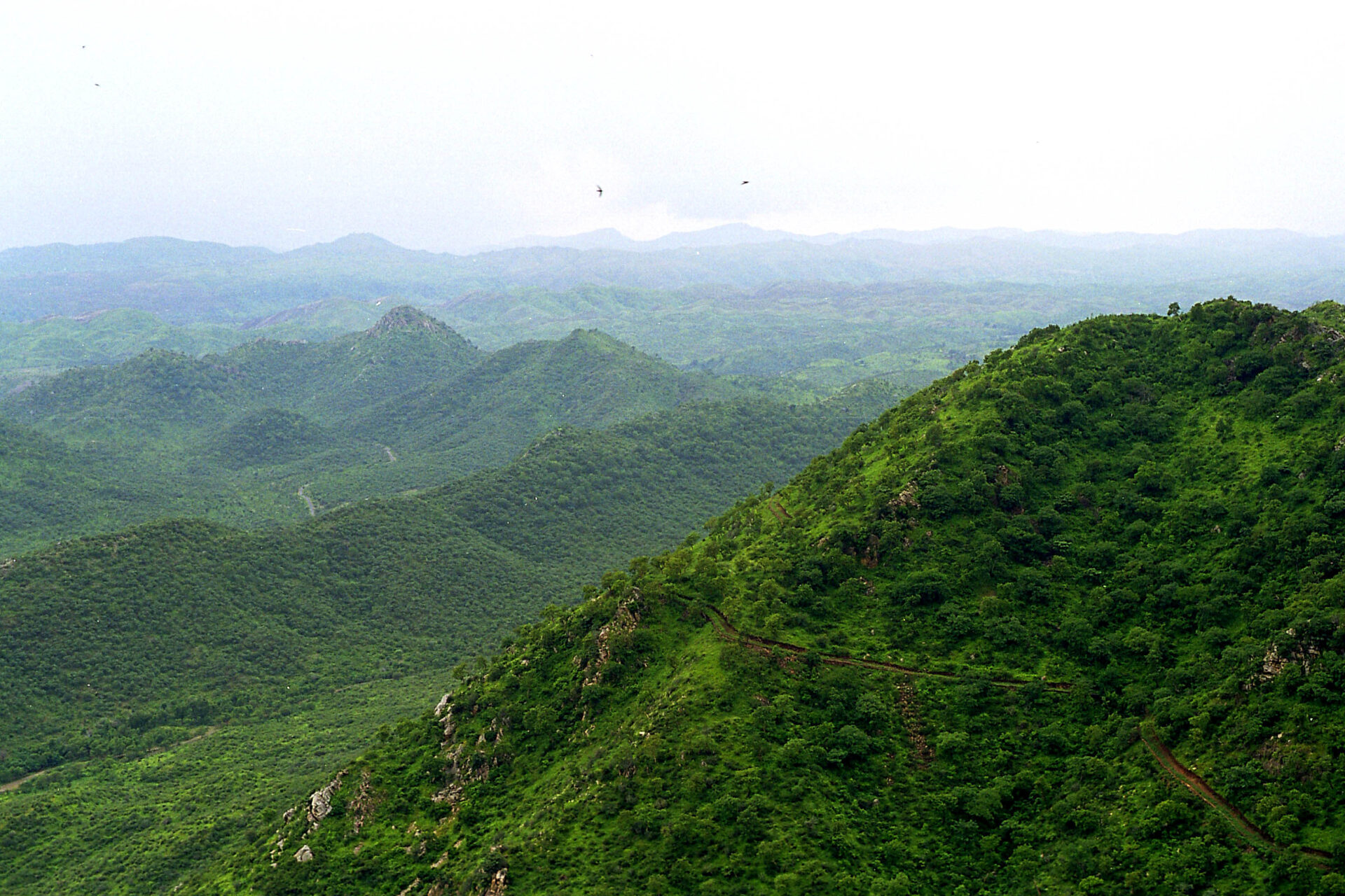 Aravalli Hills Face Increased Risk From Mining And Real Estate Development
