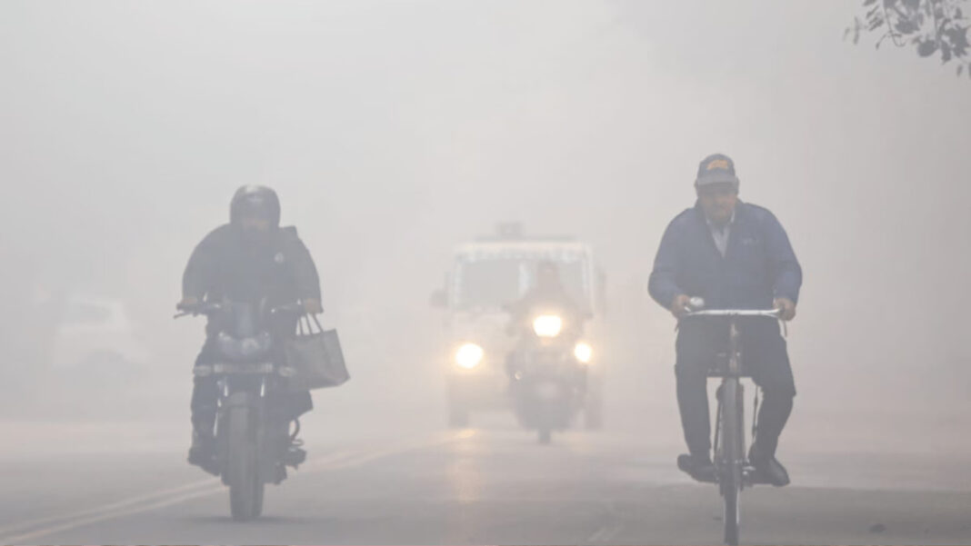 Winter Conditions Intensify Across India With Fog And Cold Wave