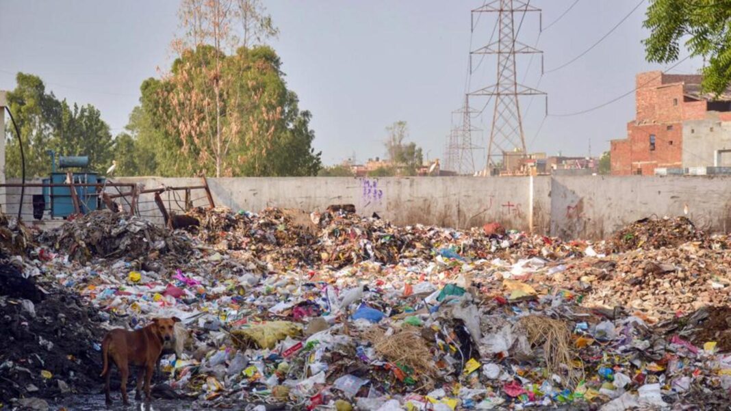 Delhi Submits ₹3,132 Crore Waste Plan After NGT Penalty And Delays