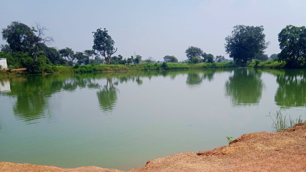 Ambuja Cements Bhatapara Rejuvenates Village Ponds Enhancing Rural Water Security Access
