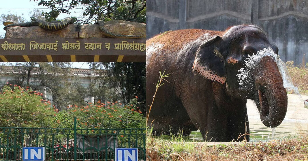 Byculla Zoo Exotic Zone To Get 18 New Species Enclosures Soon