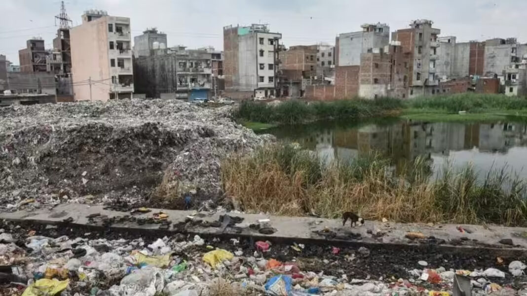 Delhi Authority Disputes Wetland Claim At Wazirabad Site