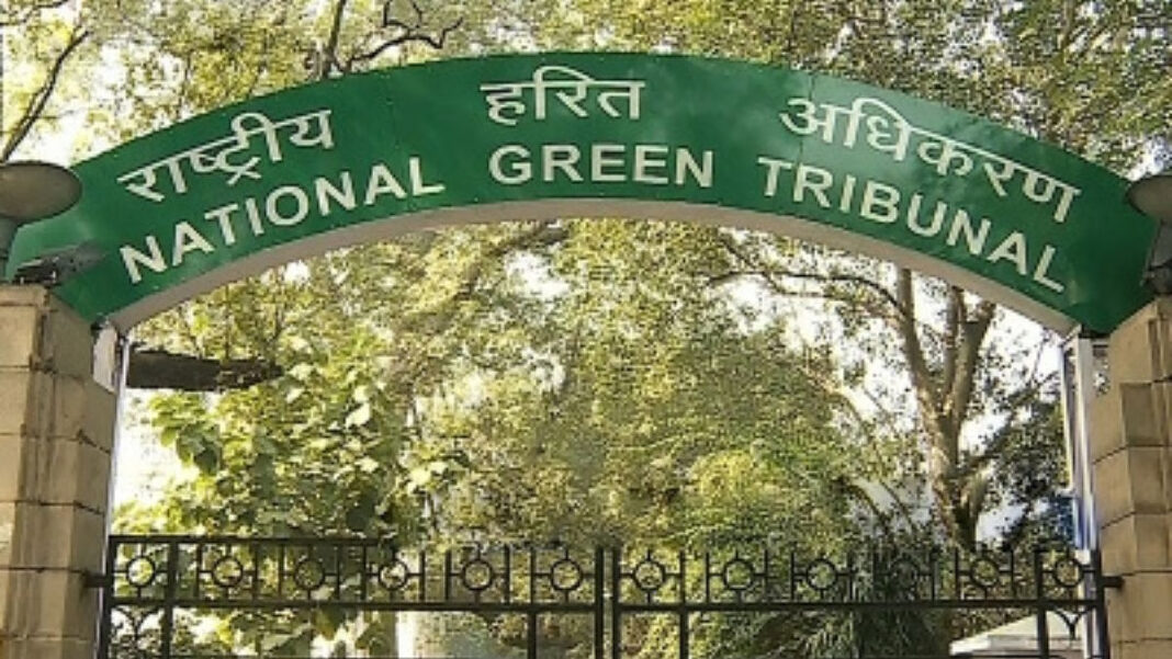 NGT Flags Tree Loss Concerns On Mumbai Highway Project