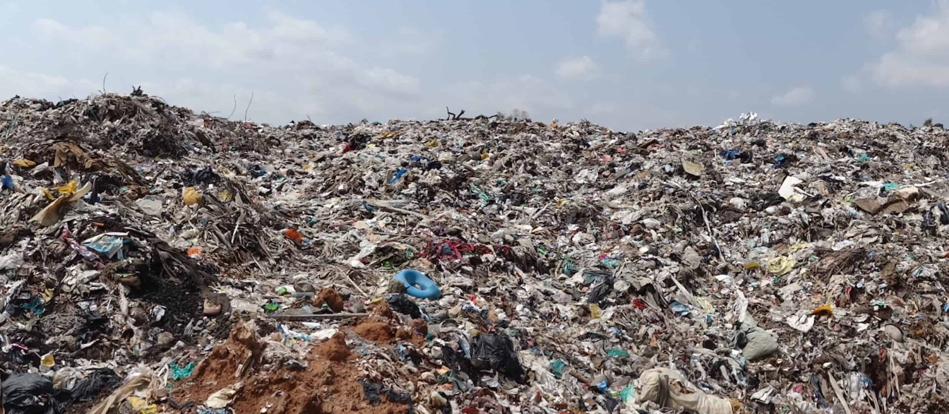 Bengaluru Rolls Out Plant Capacity With Waste Rules