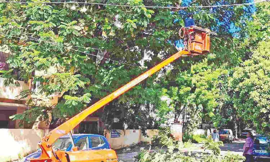 Chennai GCC Tightens Rules On Urban Tree Cutting